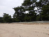 pa081429_thumb.jpg
