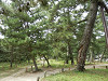 pa081430_thumb.jpg