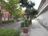 pa081465_thumb.jpg