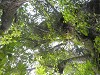 pa091488_thumb.jpg