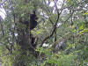 pa091492_thumb.jpg