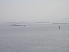 pa091506_thumb.jpg