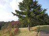 pa091612_thumb.jpg