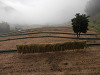 pa101628_thumb.jpg