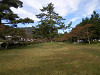 pa101650_thumb.jpg