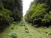 pa101657_thumb.jpg