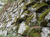pa101672_thumb.jpg