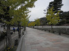 pa101683_thumb.jpg