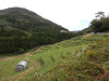 pa101737_thumb.jpg