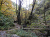 pb050016_thumb.jpg