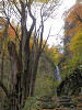 pb050021_thumb.jpg