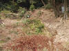 pb050077_thumb.jpg