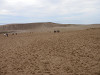 pb050089_thumb.jpg