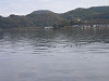 pb060133_thumb.jpg