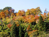 pb060181_thumb.jpg