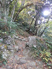 pb060210_thumb.jpg