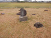 pb070244_thumb.jpg