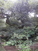 pb070249_thumb.jpg