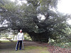 pb070252_thumb.jpg