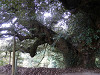 pb070254_thumb.jpg