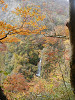 pb070282_thumb.jpg