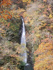 pb070288_thumb.jpg