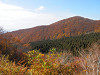pb070324_thumb.jpg