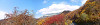 pb070326_thumb.jpg