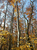 pb070334_thumb.jpg