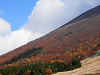 pb070340_thumb.jpg