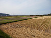 pb070369_thumb.jpg
