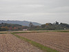 pb070377_thumb.jpg