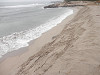 pb080419_thumb.jpg