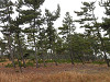 pb080421_thumb.jpg