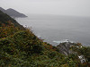 pb080436_thumb.jpg