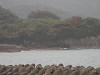 pb090455_thumb.jpg