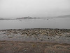 pb090468_thumb.jpg