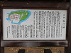 pb090533_thumb.jpg