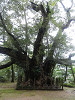 pb090544_thumb.jpg