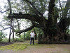pb090546_thumb.jpg