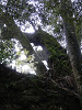 pb090548_thumb.jpg