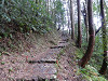 pb090562_thumb.jpg