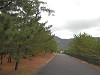 pb100636_thumb.jpg