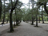 pb100690_thumb.jpg