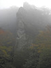 pb110731_thumb.jpg