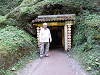 pb110785_thumb.jpg