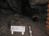 pb110794_thumb.jpg