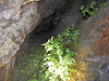 pb110796_thumb.jpg