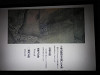 pb110814_thumb.jpg