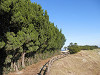 pb120912_thumb.jpg